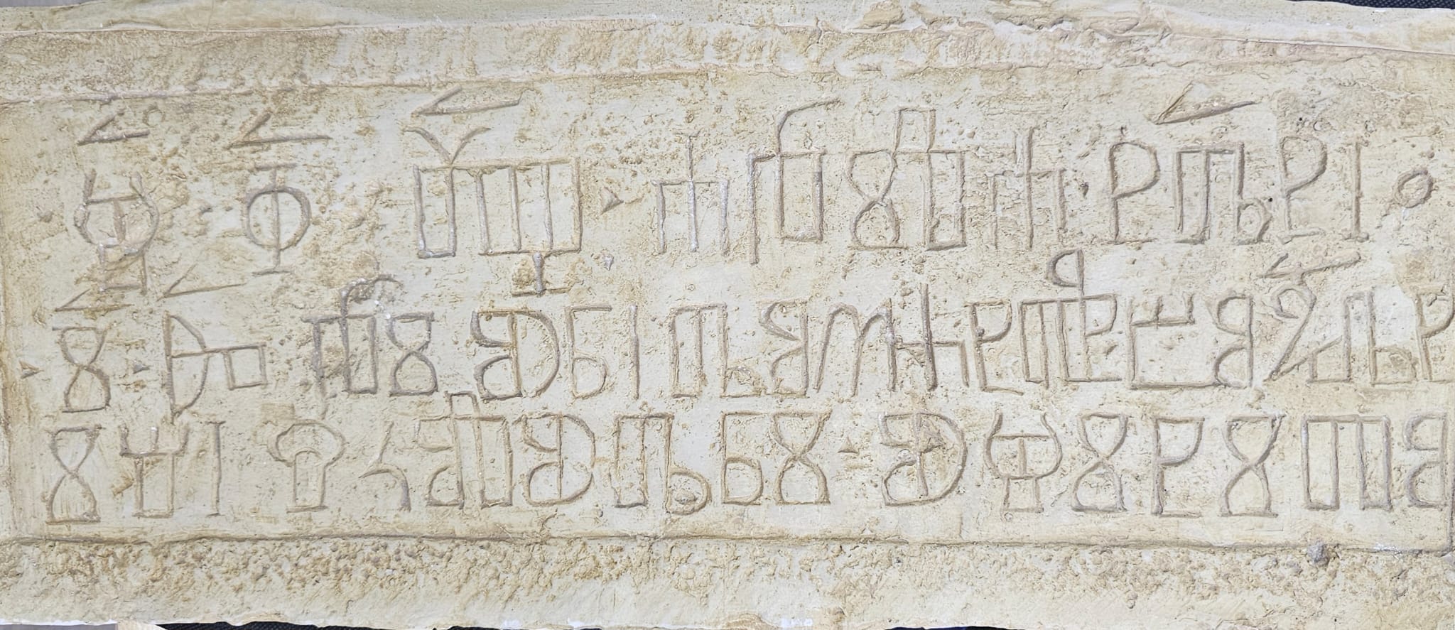 WhatsApp Image 2025-12-16 at 12.13.45